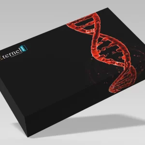 Cortisol Level Analysis