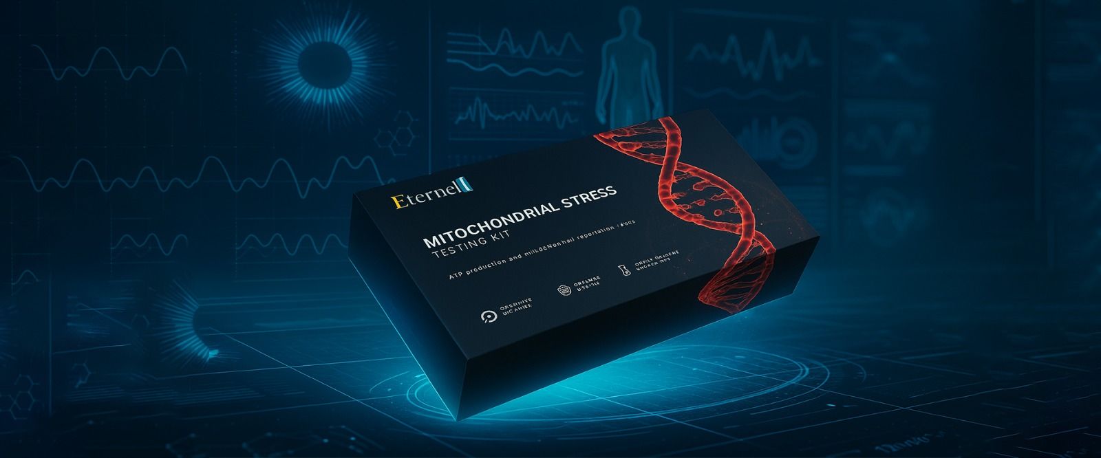 WhatsApp Image 2025-06-23 at 1.45.16 PM